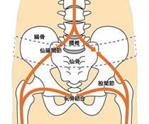 仙腸関節を固定する腰痛ソリューション
